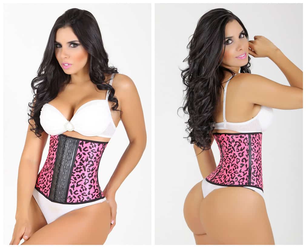 Read more about the article Best Available Waist Cincher 2016