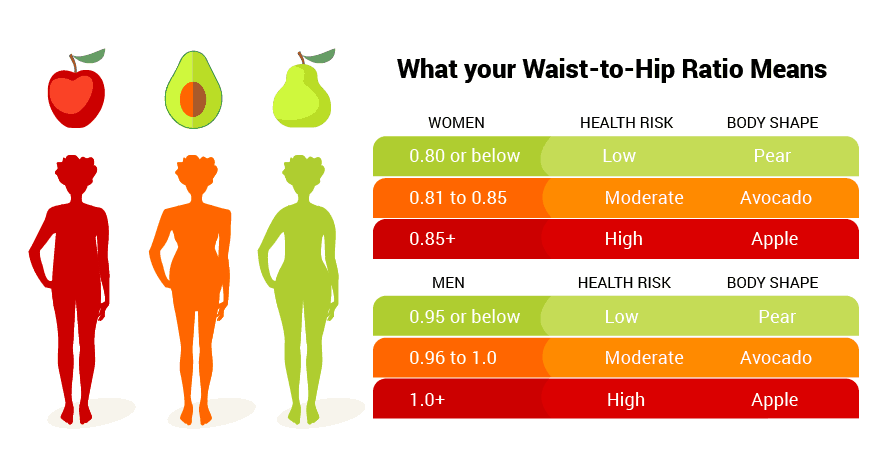 Read more about the article Waist-to-Hip Ratio: How to Calculate & 6 Abdominal Exercises to Make It Work